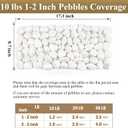 FANTIAN 40 lbs White River Rocks for Landscaping, 1.5-2.5 Inch Decorative Polished Pebbles for Plants, Vase, Terrarium, Aquarium, Stones for Planter, Garden and Yard Paver