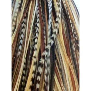 Feather Hair Extension  Natural Dark Brown and Beige, Five Genuine Feathers Bonded Together, Ranging from 4 to 7 Inches, One Extension