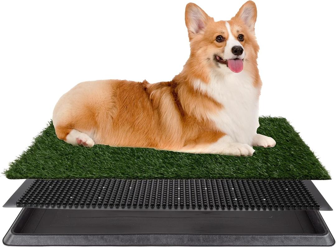Artificial Grass Puppy Pee Pad for Dogs and Small Pets - 20x25 Reusable 3-Layer Training Potty Pad with Tray - Dog Housebreaking Supplies by PETMAKER (Medium)