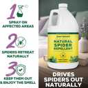 Natural Spider Repellent Spray, Peppermint & Lavender, Ready-to-Use, 128 oz