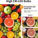 E12 Chandelier Light Bulbs, Dimmable 60 Watt Equivalent 2700K Soft Warm White Candelabra Light Bulbs for Bedroom, 500LM 5.5W Efficient Lightbulb, 6-Pack