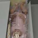 BABESIDE Drink and Wet Reborn Baby Dolls Sunny  17 Inch Realistic Newborn Baby Girl with Soft Vinyl Full Body, Can Drink Water & Pee, Real Life Reborn Doll for Kids 3+