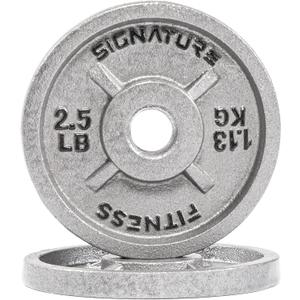 Signature Fitness Deep Dish 1-Inch Standard Cast Iron Weight Plates with E-Coating, Silver 2.5LB (Set of 2)