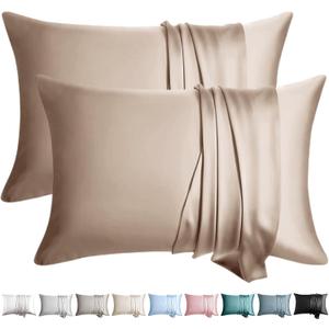 100% Silk Pillow Cases 2 Pack Queen Size Mulberry Silk Pillowcase for Hair and Skin Set of 2 Highest Grade 6A Silk Soft Breathable Cooling with Hidden Zipper, Taupe