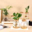6 Pcs Plants Propagation Station Separated Desktop Glass Plant Terrarium with Wood Lid and Tray, 3 Sizes Hydroponics Plants Jars Water Planting Vases for Indoor Home Tabletop Decor