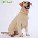 LovinPet UPF 50+ Dog Sun Protection Shirt for Dogs, 4-Way Stretch Nylon, Lightweight Anti-Static Quick-Dry UV Layer, Indoor Shedding Control and Winter Base Layer,Beige White,XL