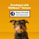 Pedigree Dentastix Dental Chews for Dogs, Small and Toy Breed Dog Treats, Fresh Flavor, (7) 21ct Bags (147 Treats Total) (EXP 07/01/27)