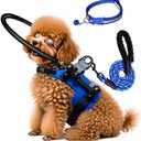 Blind Dog Halo Harness,Protective Halo Dog Collar with 5 FT Leash & Reflective Collar,Confidence Building Harness Guiding Device,Blind Dogs Accessories (S:Recommand Weight 9-22 lbs)