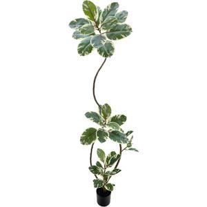 Artificial Variegated Rubber Tree 6.5FT, Potted Fake Floor Plant,Tree Trunk that Can Be Bent at Will for Living Room, Office, Bedroom & Commercial Interior Decor
