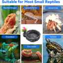 Reptile Food Dish, Rock Reptile Terrariums Water Dish, Water and Food Bowls Lizard Water Bowl for Leopard Gecko, Tree Frog, Snake, Crested Gecko, Frog