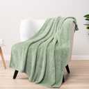 PAVILIA Soft Fleece Light Green Throw Blanket for Couch, Lightweight Plush Warm Blankets for Bed, Fuzzy Cozy Flannel Blanket Throw for Sofa, Travel, Jacquard Pattern, Sage Green, 50x60 inch
