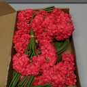 Red Silk Hydrangea Artificial Flowers, 20Inch Large Halloween Christmas Lifelike Flowers for Indoor Bouquet Table Centerpieces Floral Arrangements Home Wedding Home