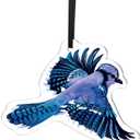 6 x WIRESTER Acrylic Hanging Ornament for Christmas Tree Holidays, Party, Car, Home, Office Decoration, Ready to Hang Ornament, Unique Xmas Gift Idea for Bird Lover - Blue Jay Bird (S1)