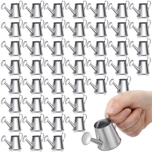 Layhit 50 Pcs Mini Watering Can Miniature Galvanized Watering Pot Garden Water Can Mini Kettle for House Crafts Garden Ornaments Gardening Landscape Party Favors, 3.35 x 1.57 x 1.97 Inches, Silver
