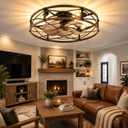 24" Low Profile Caged Ceiling Fan with Lights and Remote, Black Gold