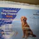 Dog Diapers Male, Bwaliffury Male Dog Wrap 60 Count, Ultra Absorbent Doggie Diapers, Rapid-Dry Leak Proof Puppy Diapers, Dog Belly Bands for Male Dogs in Heat, Excitable Urination, Incontinence (XL)