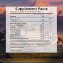 Super Mega Mushroom Gummies 24 in 1 Daily Mushroom Supplement Support for Memory, Focus & Energy, Host Immune Defense with Lions Mane, Reishi, Chaga, Turkey Tail, Citrus Flavor, 120 Gummie