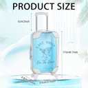 Honeydak 6 Pcs Last Toast on The Coast Bachelorette 6.7 x 3.7 x 1.8 Inches Mini Suitcase Party Favor Travel Gift Box Favor Luggage Storage Box for Bridal Wedding Beach Party Decor for Girls Women