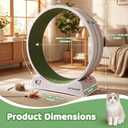 33" Large Cat Wheel for Indoor Cats, Cat Treadmill with Detachable Carpet & Teaser for Running/Walking/Training, Cats Exercise Wheel Suitable for Most Cats Kitten - Dark Black
