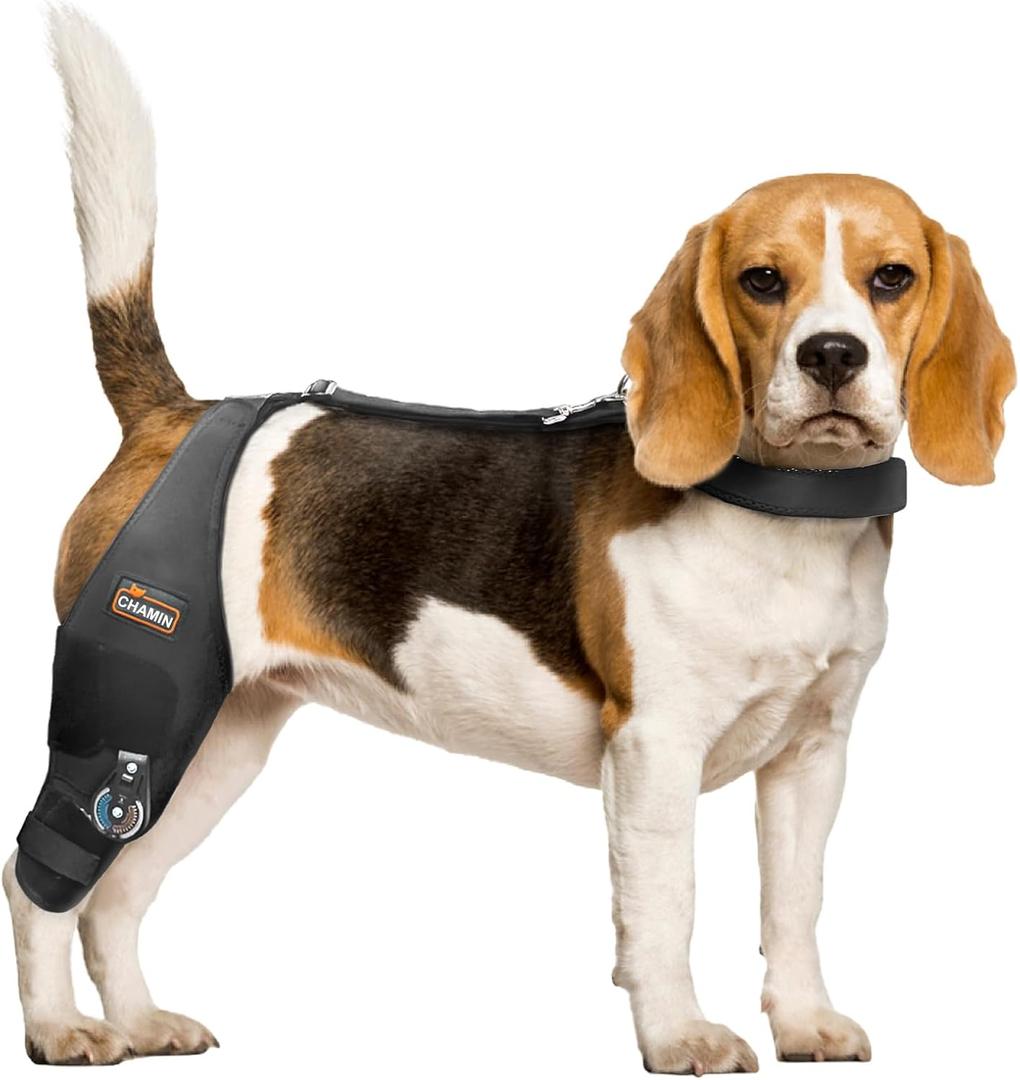 CHAMIN Adjustable Dog Knee Brace with Extra Collar, Support for Torn Acl Hind Leg, Tear Ligament, Osteoarthritis,Rear Leg Limp, Recovery After Surgery,et(Right Leg,S)