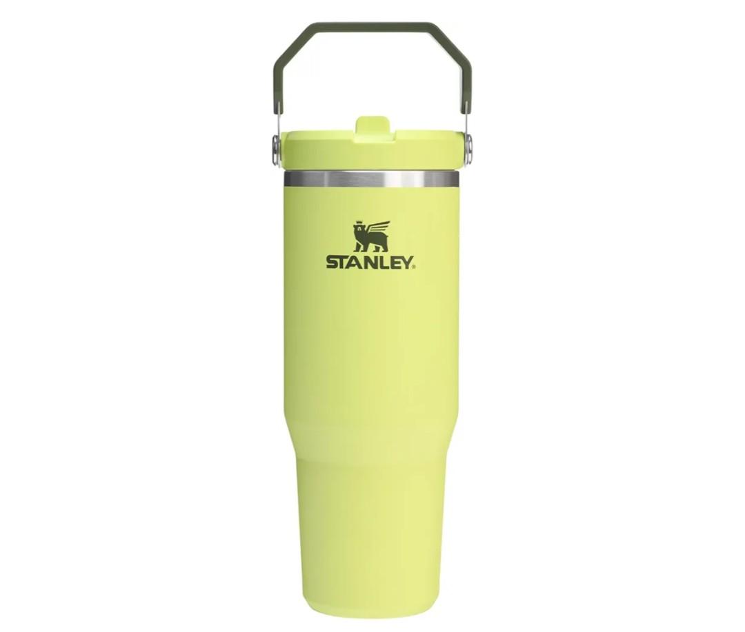 STANLEY IceFlow 2.0 Flip Straw Tumbler with Handle 30 oz | Twist On Lid and Flip Up Straw | Leakproof Water Bottle