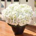 6 Bundles White Artificial Geranium Flowers for Outdoors Spring Decor Geraniums Silk Flowers UV Resistant Lifelike Faux Flowers for Spring Indoor Outdoor Garden Patio Porch Balcony Home Decoration