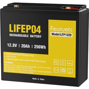 12V 20Ah Deep Cycle LiFePO4 Battery,12 volt lithium phosphate battery for CampingFish Finder, Scooter, Security System, Ride on Toys Automotive Replacement Batteries UPS etc. Rechargeable Lit