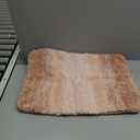 Arotive Microfiber Bathroom Rugs, Shaggy Soft and Absorbent Bath Rug, Non-Slip, Thick Plush Machine Washable Dry Bath Mats for Bathroom, Tub and Shower, 24x16, Peach, Rectangular