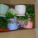 Der Rose 4 Pack Fake Flowers Small Artificial Faux Plants Indoor Summer Spring Decor for Centerpiece Table Decorations Home Office Desk Wedding Apartment Decor