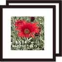 14x14 Picture Frame Black 2 Pack Solid Wood for Mat 10x10 Wall Mounting Square Poster Photo Frames