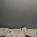 Jinchan Yarden Round Rugs 6 Ft Beige Botanical Birds Print Machine Washable 6' Circle Nature Plants Modern Soft Non Slip Kids Throw Area Rugs Ultra Thin Low Pile Carpet for Living Room Bedroom (Natural Beige/Pink)