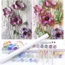 BAISITE Paint by Numbers Kit for Adults Beginners,12" Wx16 L 2 Pack Canvas for Painting Kits for Adults in Colorful Box-Poppies 6566