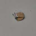 Pedag Step 166475 Symmetrical Self Adhesive Arch Support Inserts (Large (EU 41-43/ US 11L-10M) 1 pair, Tan)