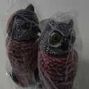 Hedoc 2 Pack Fake Owl Decoys to Scare Birds Away, Rotating Head Bird Deterrents, Nature Enemy Scarecrow Plastic Statues, Pest Repellent for Gardens and Patios (10+11 Inch)