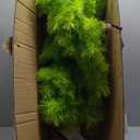 Christmas Tree 6ft, Top Curved 6ft Upright 7ft Lime Green Xmas Tree with Tree Skirt, Easy Setup Whimsical Artificial Christmas Tree for Christmas Decorations
