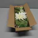 3Pcs White Artificial Dahlia Flowers 29.5" Fake Flower Silk Flowers with Long Stem Floral Arrangements Bouquets Faux Dahlias Flowers for DIY Wedding Party Centerpieces Decor Home Office Decoration