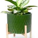 LaDoVita Ceramic Plant Pot with Stand, 8.5 Inch, 10 Inch, and 14.5 Inch Planter with Wood Shelf, Modern Round Flower Pots Indoor with Wood Planter Holder, Dark Green Water Ripple Pattern