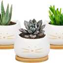 Koolkatkoo 3.2 Inch Cute Cat Ceramic Succulent Planter Pots with Removable Saucer Unique Cactus Planters Porcelain Decorative Flower Pot for Cat Lovers Set of 3 White