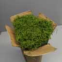 Fake Moss Rolls for Crafts Table Runner Party Centerpieces Decoration 16" x 118" Artificial Moss for Plants Indoor Green Faux Grass for Planters DIY Fairy Garden Floral Wedding 40 x 300cm