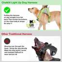 ChalkLit Light Up Dog Harness, No Pull Led Dog Harness Glow-in-The-Dark for Night Walking, USB Rechargeable Lighted Safety Vest for Medium Large Dogs, Adjustable Soft Mesh Fully Illuminated(Green, XL)