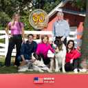 Evanger's Heritage Classic Lamb & Rice Dinner Dog Food  12 Count, 12.5 oz Each  Gluten & Grain Free, Complete Balanced Diet for All Life Stages  Wet Dog Food