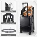MRPLUM Ride On Luggage with Seat&Seat Belt,Hard Shell Lightweight Rolling Spinner Wheels Travel Luggage with TSA Lock,20 inch,Black, 20.9 inches x 13.4 inches x 9.8 inches