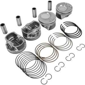 230412E210 4 Pcs Engine Piston & Rings Set Compatible with 2014-2019 Hyundai Elantra GT Tucson Soul Forte Koup Forte5 23041-2E210 23041-2E200