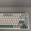 YUNZII B75 PRO Wireless Mechanical Keyboard,75% Layout with Knob,Hot Swap Gasket Structure,Creamy Pre-lubed Switches,RGB Backlit,Bluetooth/Type-C/2.4G for Win/Mac (Matcha Green, Milk Switch)