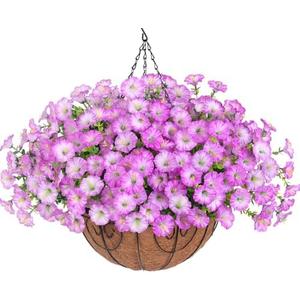 Artificial Fake Hanging Flowers Plants Baskets for Outdoor Spring Summer Decoration, Faux Silk Morning Glory in Planter UV Resistant Realistic for Home Outside Porch Patio Balcony Garden Yard