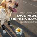 EXPAWLORER Anti Slip Dog Socks to Prevent Licking Paws, Shoes for Hot Pavement, Dog Booties for Small Medium Large Senior Dogs, Traction Control Boots & Paw Protectors for Hardwood Floors Black&Grey