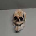 CosTribe Creepy Full Head Skull Mask with Moving Jaw Halloween Scary Latex Helmet for Cosplay Party Props (Grey)