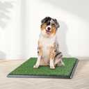 Artificial Grass Puppy Pee Pad for Dogs and Small Pets - 20x25 Reusable 4-Layer Training Potty Pad with Tray - Dog House and Pet Supplies by PETMAKER (Medium)
