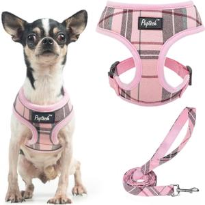 PUPTECK Soft Mesh Dog Harness and Leash Set Pet Puppy Cat Comfort Padded Vest No Pull Harnesses, Light Pink, XS (XS (NECK: 10", CHEST: 10"-14"))