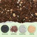 Doter Bonsai Soil Mix Ready to Use (1qt), Premium Fast Draining Organic All Purpose Potting Mix for All Varieties of Bonsai